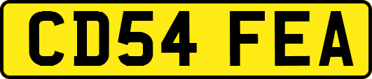 CD54FEA