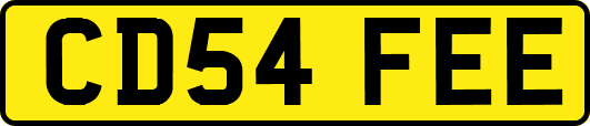 CD54FEE