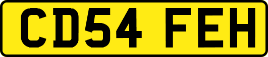 CD54FEH