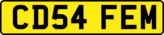 CD54FEM