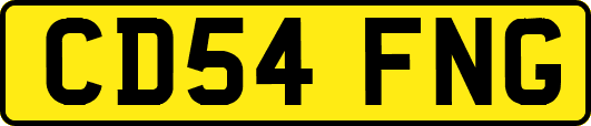 CD54FNG