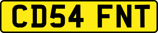 CD54FNT