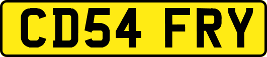 CD54FRY