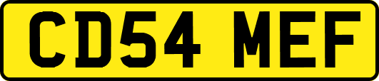 CD54MEF