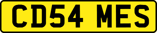 CD54MES