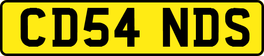 CD54NDS