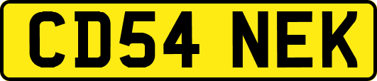 CD54NEK