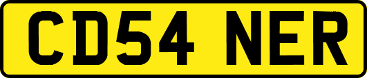 CD54NER
