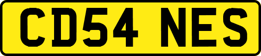 CD54NES