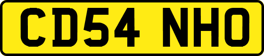 CD54NHO