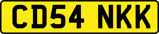 CD54NKK