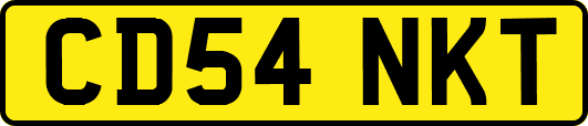 CD54NKT