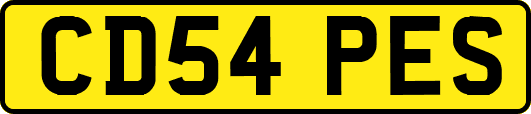 CD54PES