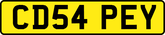CD54PEY