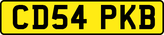 CD54PKB