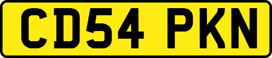 CD54PKN