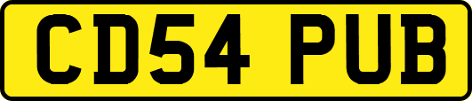 CD54PUB