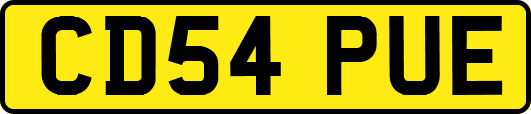 CD54PUE