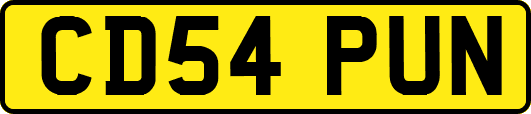 CD54PUN
