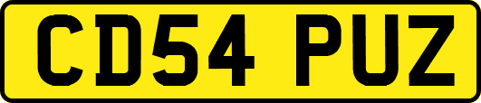 CD54PUZ