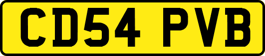 CD54PVB