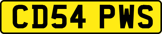 CD54PWS