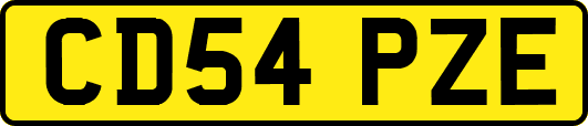 CD54PZE
