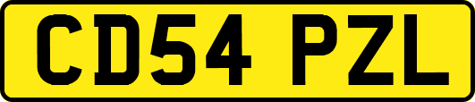 CD54PZL