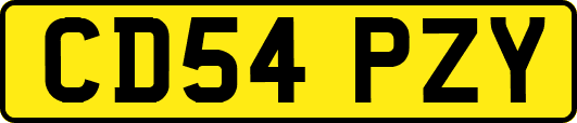 CD54PZY