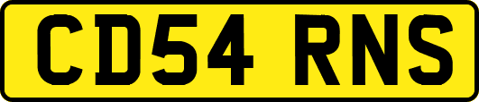 CD54RNS