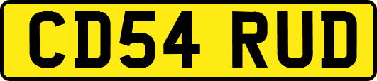 CD54RUD