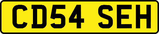 CD54SEH