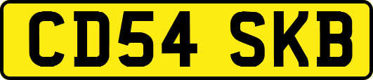 CD54SKB
