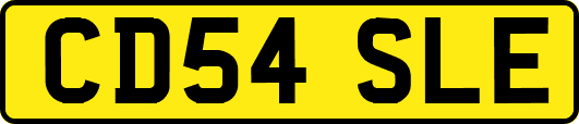 CD54SLE