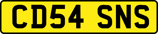 CD54SNS