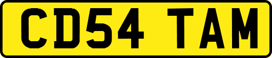 CD54TAM