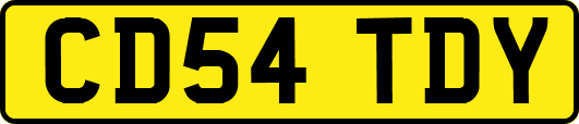 CD54TDY