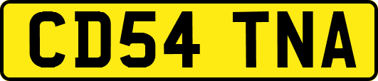 CD54TNA