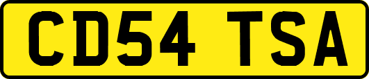 CD54TSA