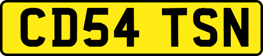 CD54TSN