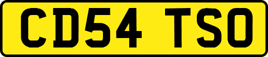 CD54TSO