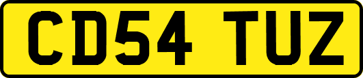 CD54TUZ