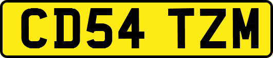 CD54TZM