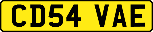 CD54VAE