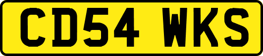 CD54WKS