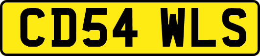 CD54WLS