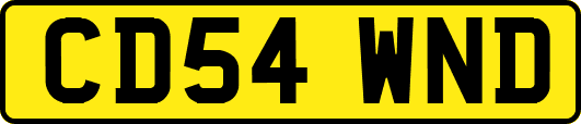 CD54WND