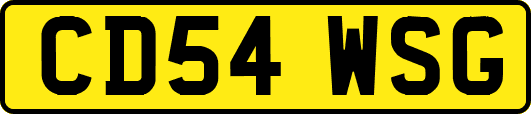 CD54WSG