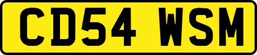 CD54WSM