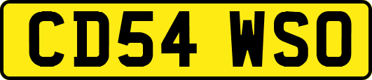 CD54WSO